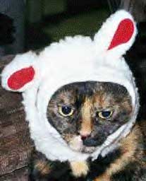Not happy!