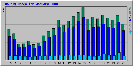 Hourly usage for January 2008