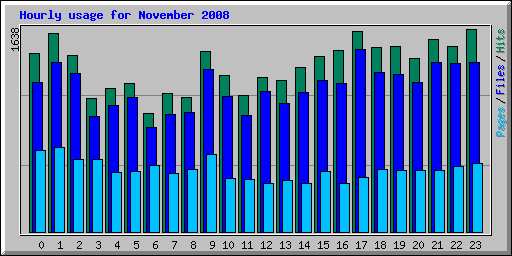 Hourly usage for November 2008